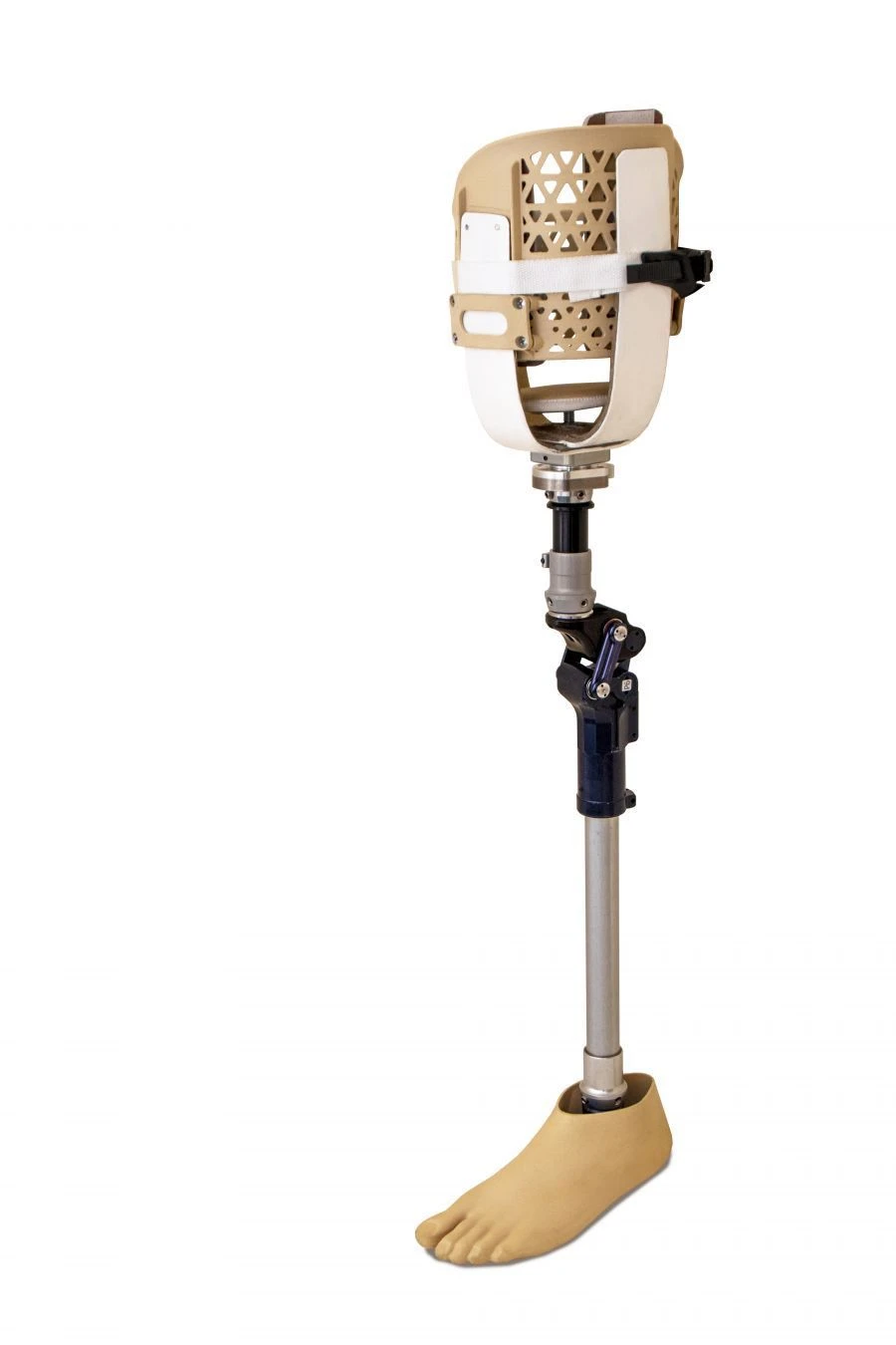 طرف صناعي للورك نمط PN6-M