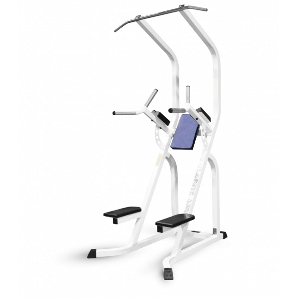 Multi-Function Pull-Up Bar and Dip Station for Home Gym