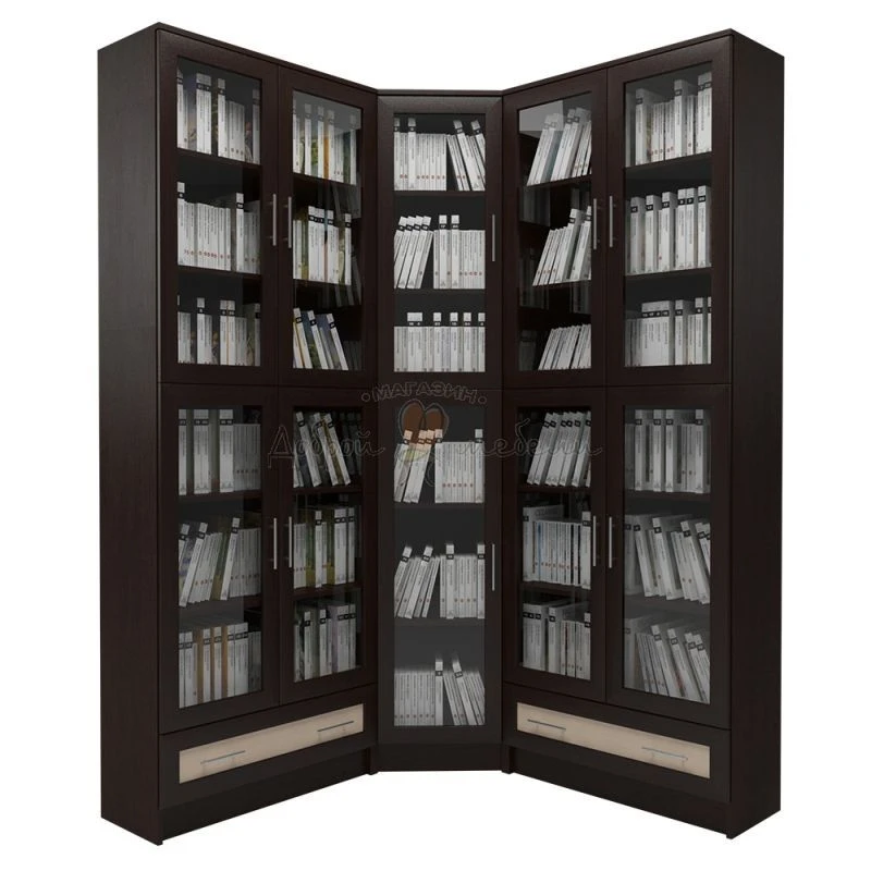 Bookshelf Cabinet for Book Storage with Adjustable Shelves