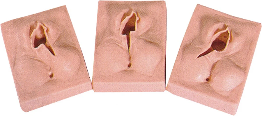 نموذج التدريب على عملية الإيبيزيوتومي والخياطة، H