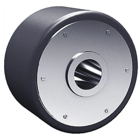 Chain Guide Roller for Sludge Pumping Systems