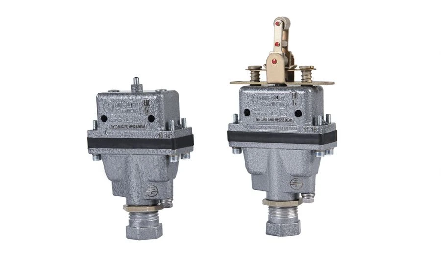 Explosion-Proof Micro Switch MPV-2 for Remote Control