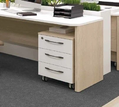 50.301.00.00.00 Storage Cabinet