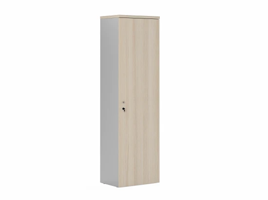 Modern Wardrobe with Lock, Model FLS329