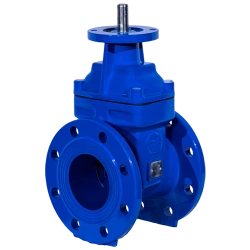 Gate Valve