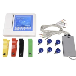 Medical & Healthcare